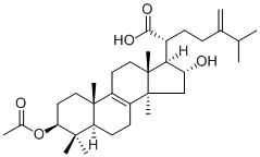 Pachymic acid29070-92-6