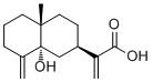 5α-Hydroxycostic acid132185-83-2