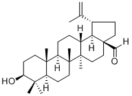 Betulinaldehyde13159-28-9