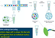 10× Genomics 单细胞 ATAC-seq 技术简介