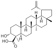 Lupeolic acid87355-32-6