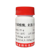 生物素标记C/EBP凝胶迁移探针(0.2μM)