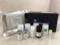 Proteintech ELISA kit