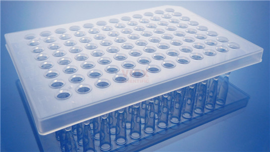 0.2ml 半裙边96孔PCR板