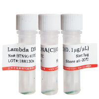 LAMP可见光染料北京价格