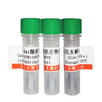 单端孢霉烯族化合物A型混合液标准品北京现货