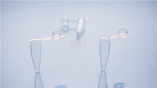 0.2ml PCR凸盖单管