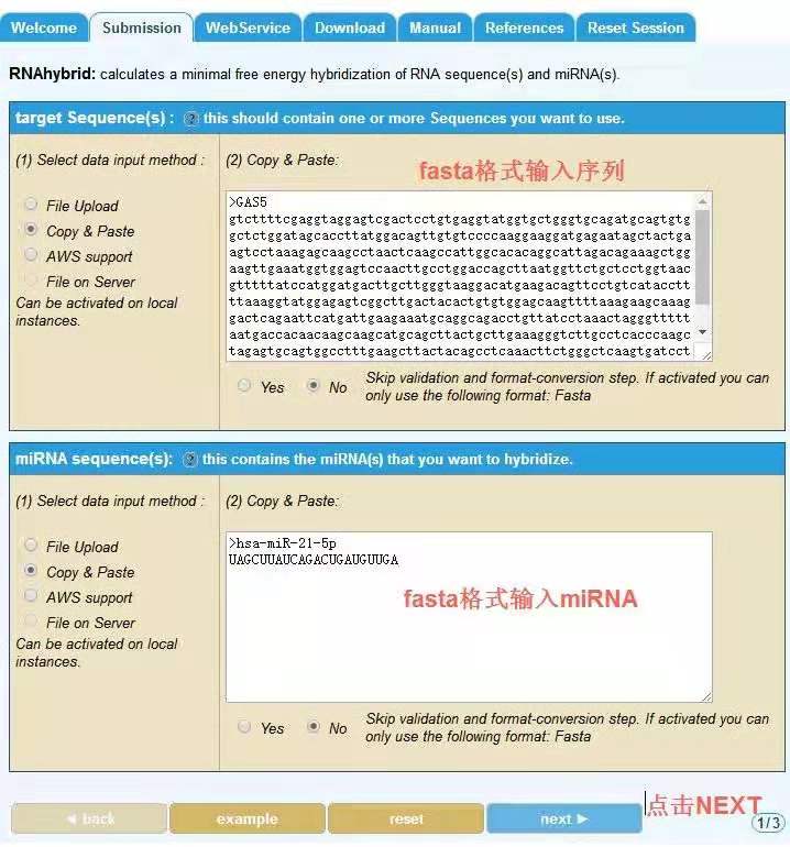 snapgene prices per base snapgene prices per base