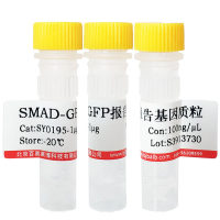 无菌去离子水(For PCR)现货供应