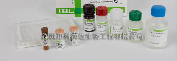 人β-淀粉样蛋白1-42检测试剂盒