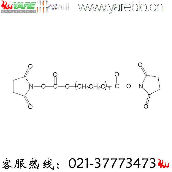 NHS-PEG-NHS 活性酯PEG活性酯 活性酯聚乙二醇活性酯 PEG修饰剂