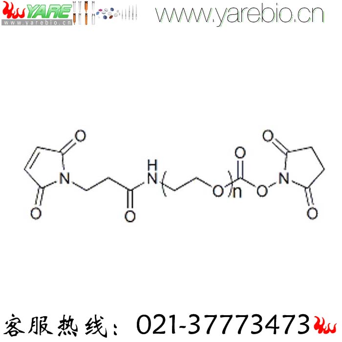 MAL-PEG-NHS Maleimide-PEG-NHS 马来酰亚胺PEG活性酯 PEG修饰剂