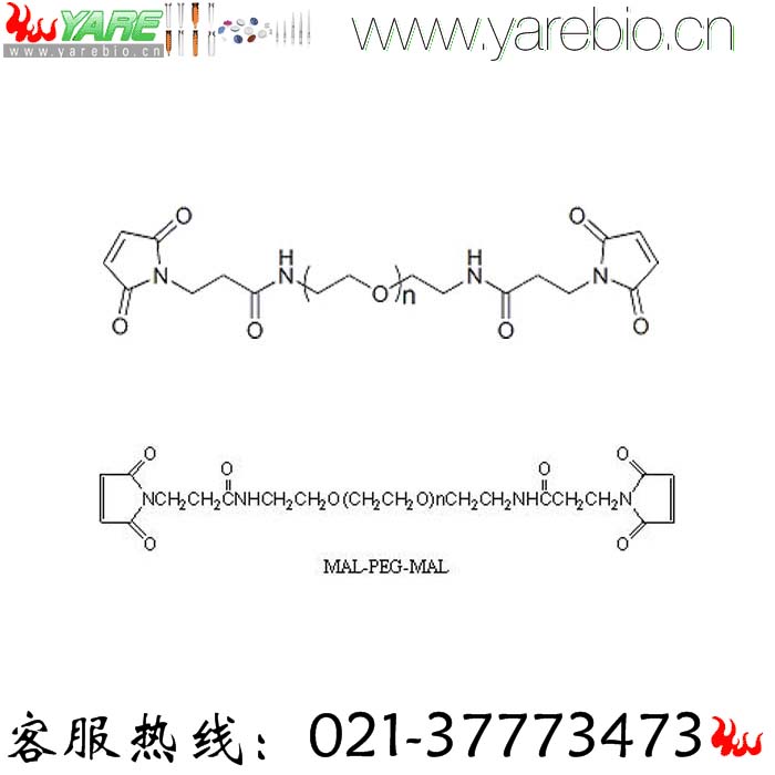 Mal-PEG-Mal Maleimide-PEG-Maleimide 双马来酰亚胺聚乙二醇