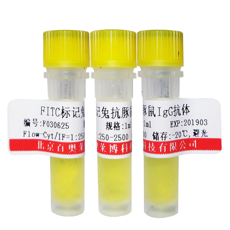FITC标记小鼠抗人IgG3抗体(FITC标记二抗)