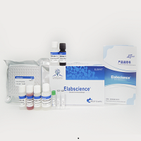 QuicKey-人免疫球蛋白G(IgG)酶联免疫吸附测定试剂盒