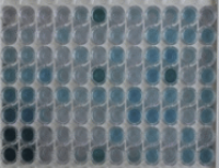 人嗜酸粒细胞趋化因子(ECF)检测试剂盒(酶联免疫吸附试验法)