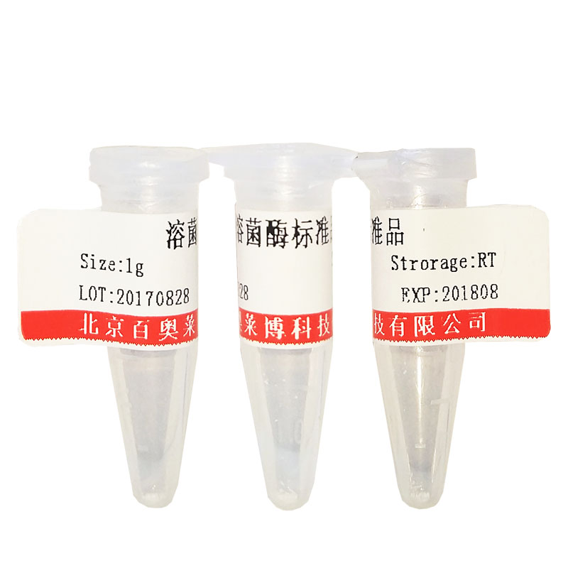 细胞膜荧光探针(DiA)(≥90%)北京供应商