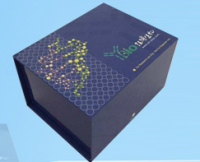 钰博生物ELISA试剂盒大促销