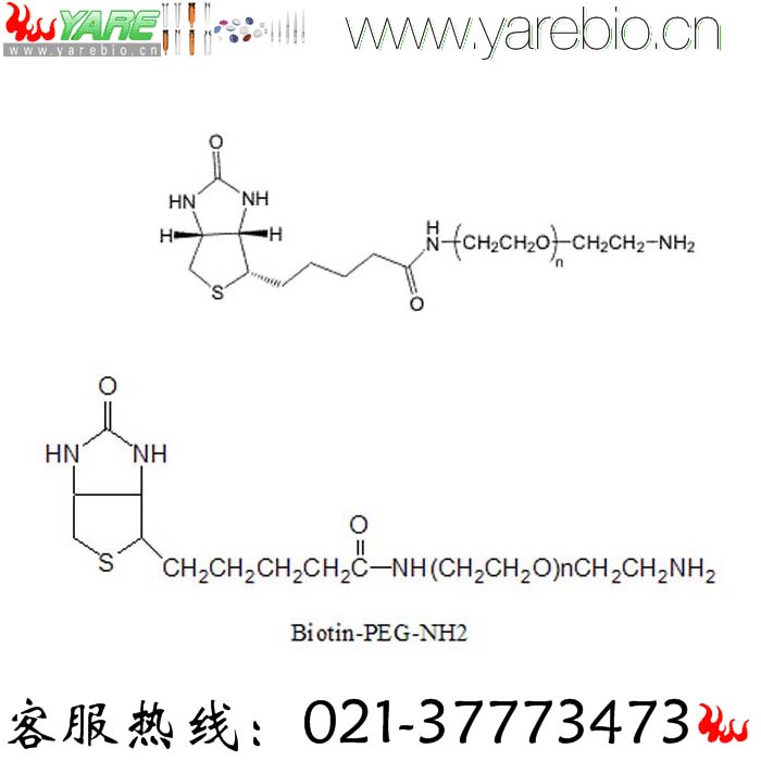 Biotin-PEG-NH2 Biotin-PEG-Amine 生物素PEG氨基 PEG修饰剂