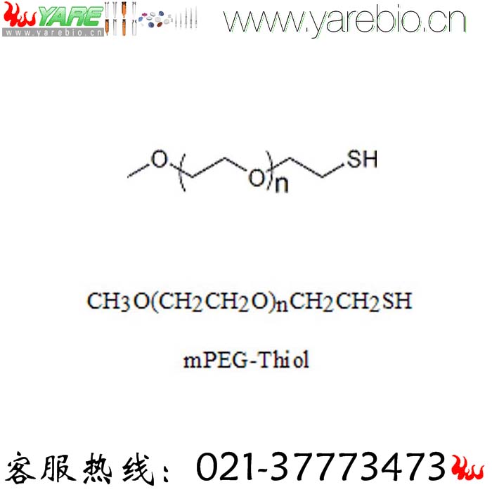 mPEG-SH 巯基修饰聚乙二醇 活化PEG PEG修饰剂 官能团PEG衍生物 