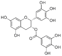 Epigallocatechin gallate989-51-5厂家