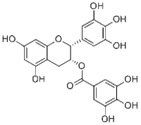 Epigallocatechin gallate989-51-5厂家