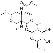 7-O-Methylmorroniside119943-46-3