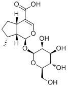 8-Epideoxyloganic acid图片