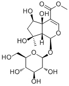 6β-Hydroxyipolamiide87797-84-0