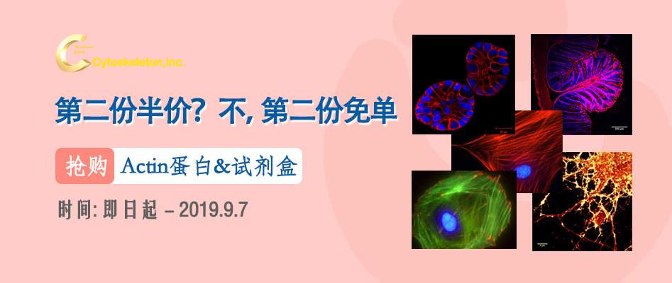Cytoskeleton Actin蛋白和试剂盒促销banner