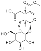 Secoxyloganin58822-47-2