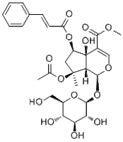 6-O-trans-Cinnamoylphlorigidoside B1246012-25-8