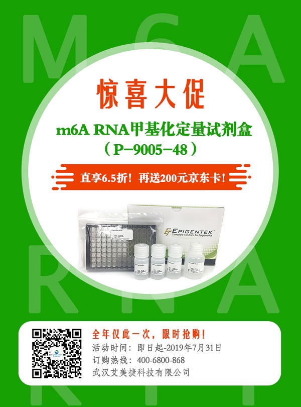 m6A RNA定量试剂盒（P-9005)促销单页