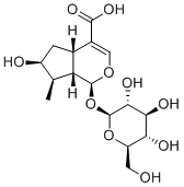 Loganic acid22255-40-9