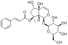 6-Epiharpagoside1151862-67-7
