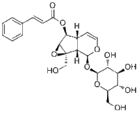 6-O-Cinnamoylcatalpol136807-41-5