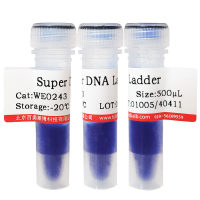 即用型DNA Marker M+(100～3000bp)