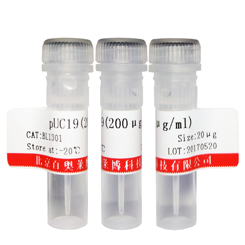 NcoI-HF RE-Mix限制性内切酶