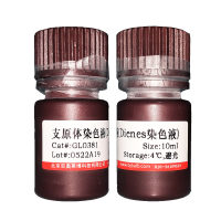 包涵体蛋白溶解液北京价格