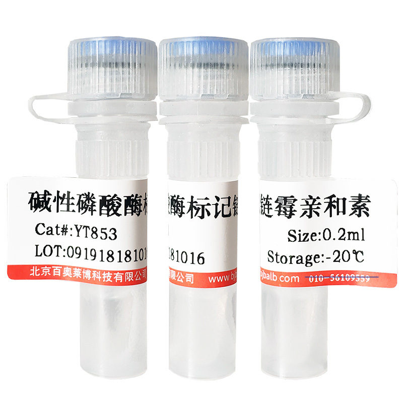 抗His标签鼠克隆抗体北京现货