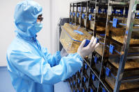 豚鼠自身免疫性梅尼埃病模型(威斯腾生物-中关村生物医学研发检测共享平台!)