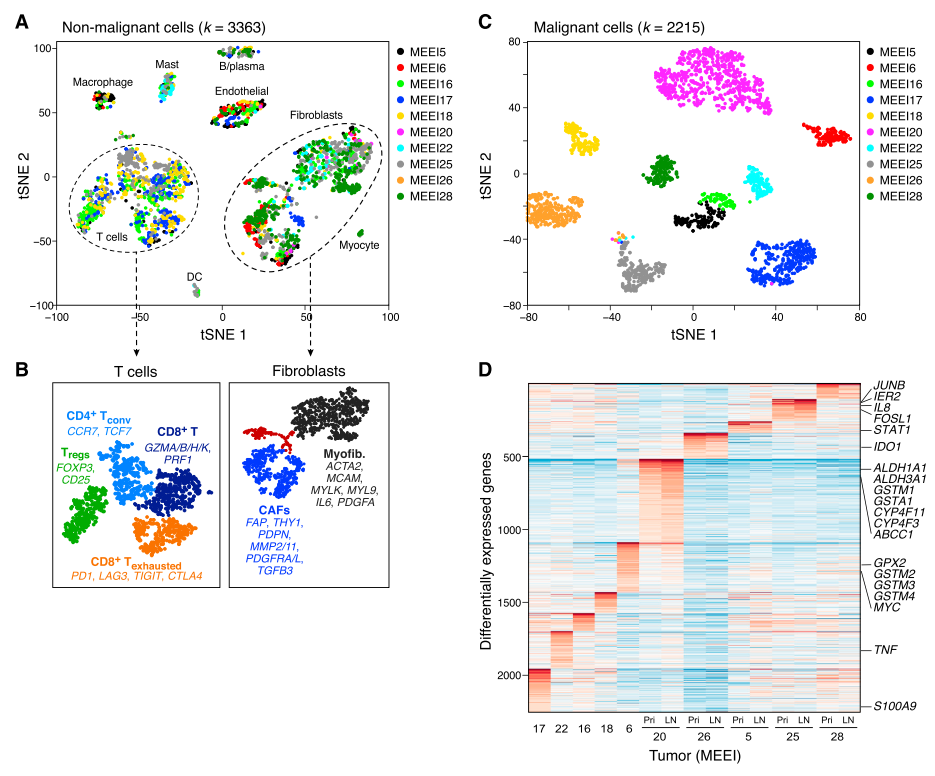 单细胞测序数据个性化分析