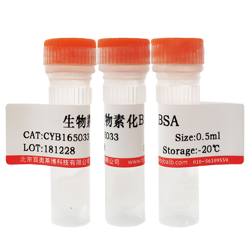 SNAP-Biotin优惠促销