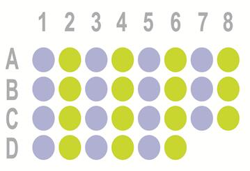 肾癌30点组织芯片 HKid-CRC030PG-01