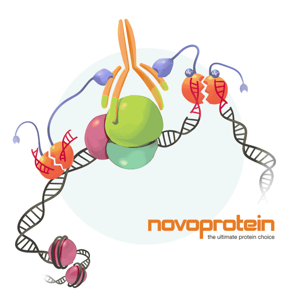 600_600gif 动态图 动图
