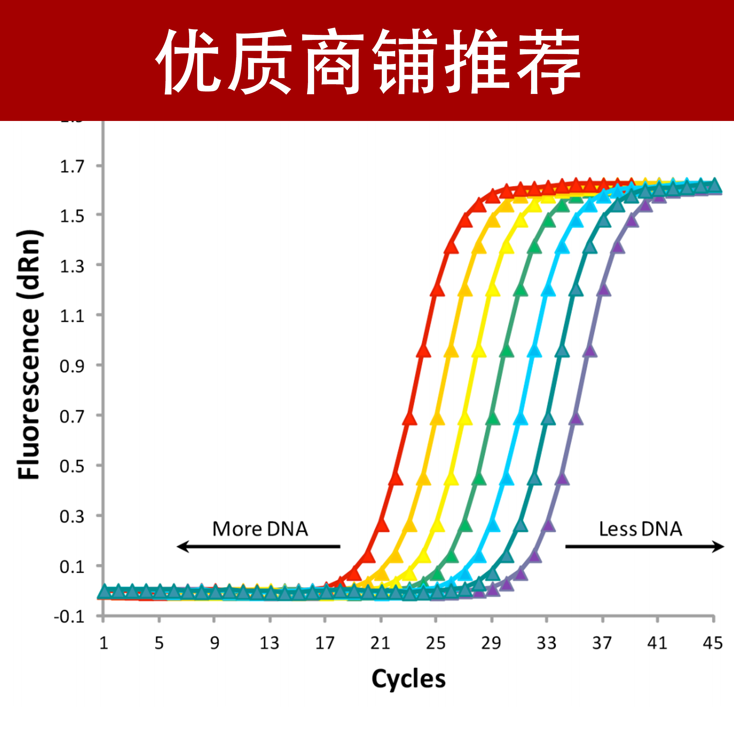 荧光定量pcr法检测乙肝病动_荧光定量pcr检测法