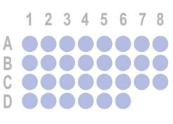 乳腺癌30点组织芯片HBreD030CS01