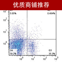 流式细胞周期检测