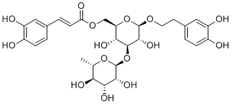 Isoacteoside61303-13-7
