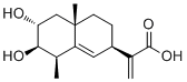 2α,3β-Dihydroxypterodontic acid图片